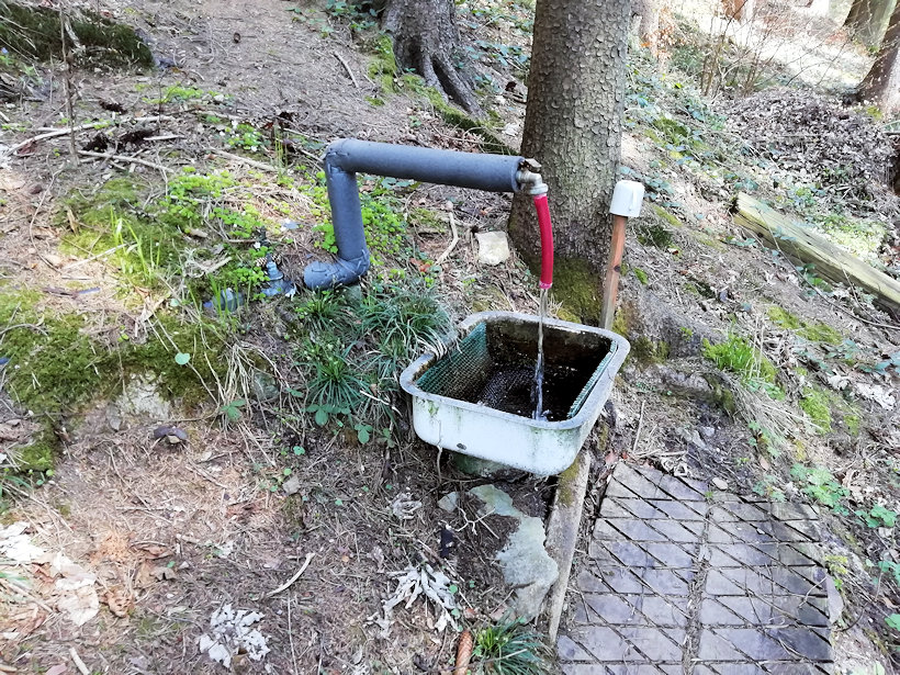 studánka Pod pazdernou (13965)