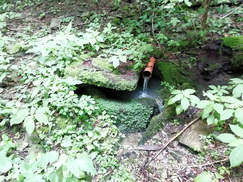 studánka Pod Sudislaví (13966)