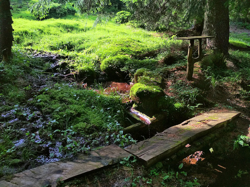 studánka U Stříbrnické chaty (13970)