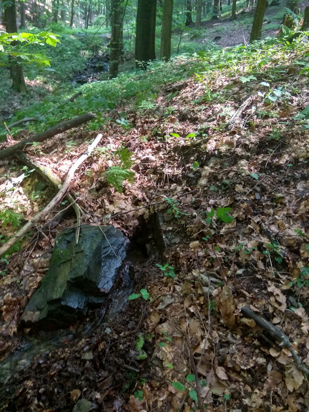 jiný vodní zdroj Pod vodárnou (14001)