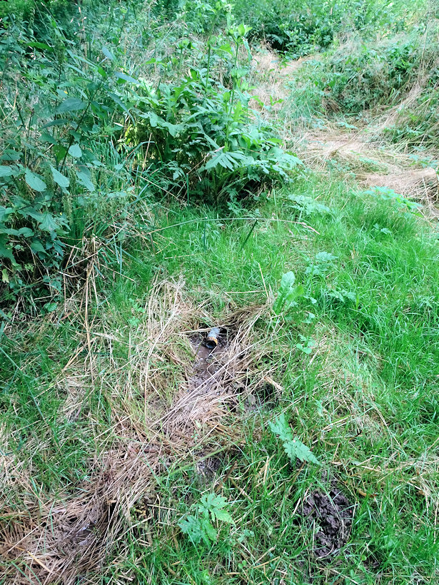 studánka U lomu 1 (14009)