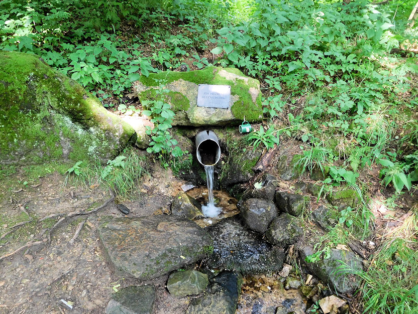 studánka pramen Hlučného potoka (14015)