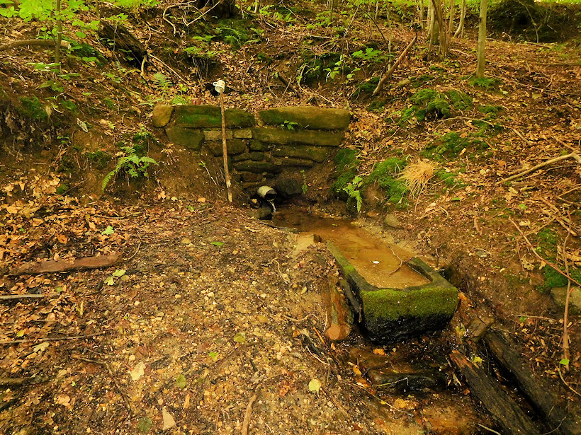 Růžičkova studánka (14016)