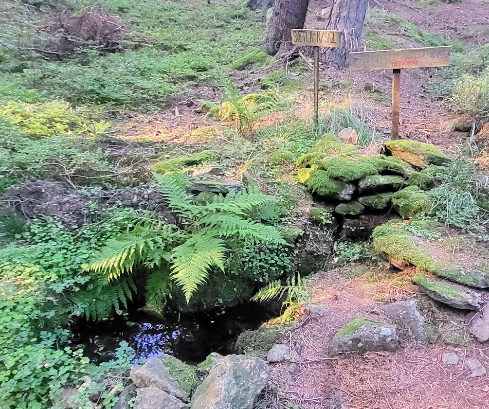studánka Nad kempem (14028)