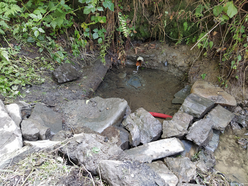 studánka Srnkov (14042)