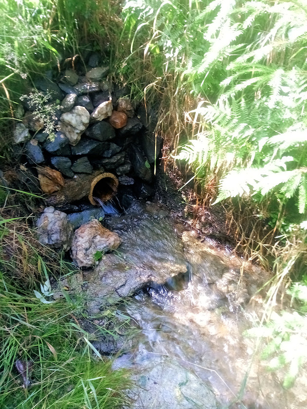 Srnčí studánka (14046)