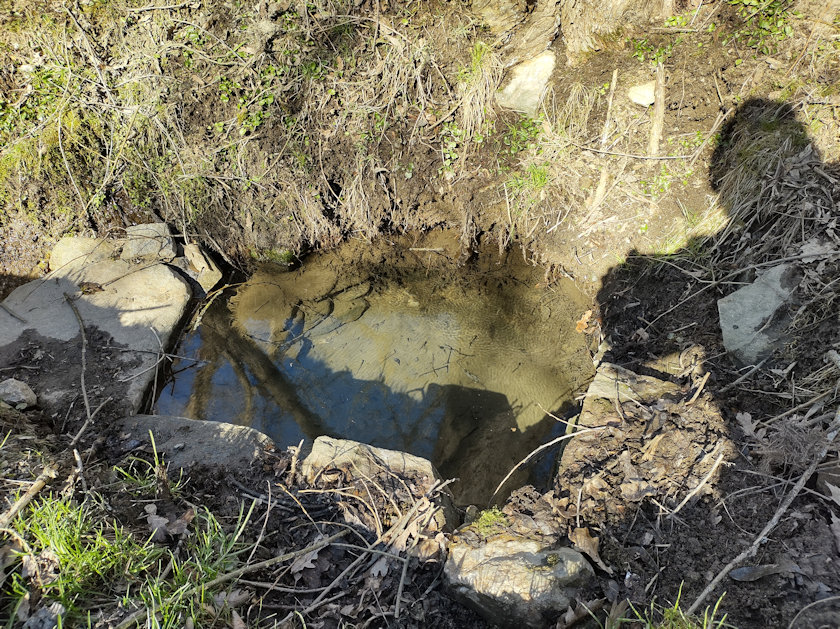 studánka Na Úlehlích (14050)