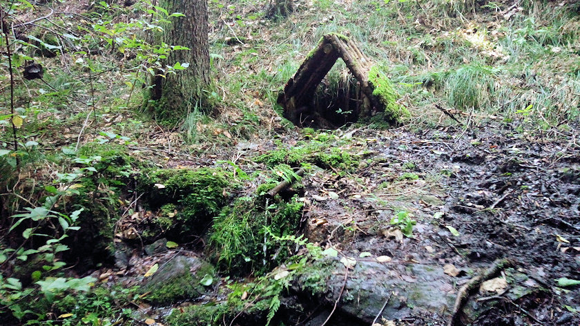 studánka Pořešinec - Výhony (14051)