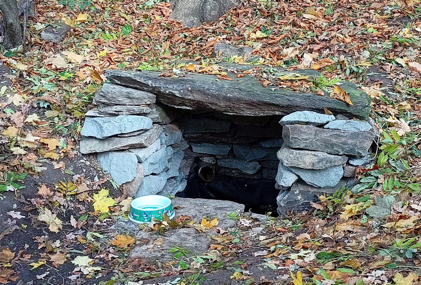 studánka Doubravská hora (14074)