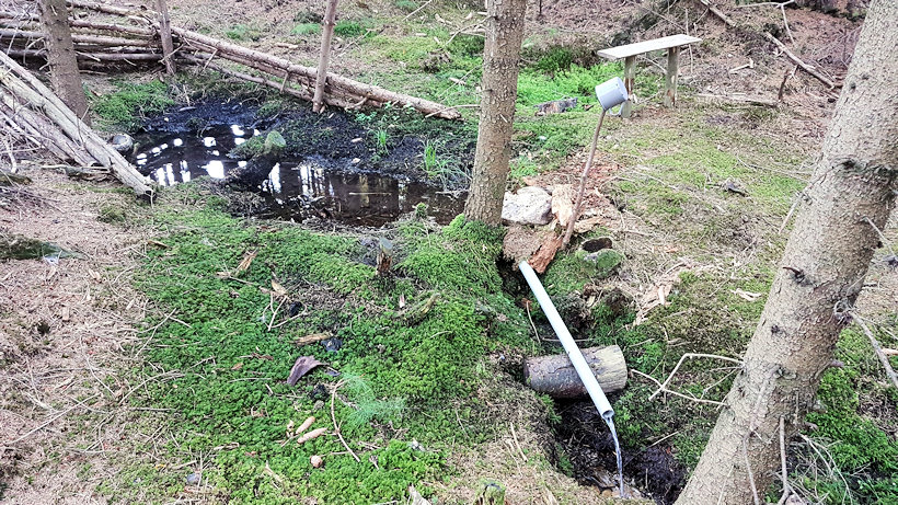 studánka bez jména (14089)