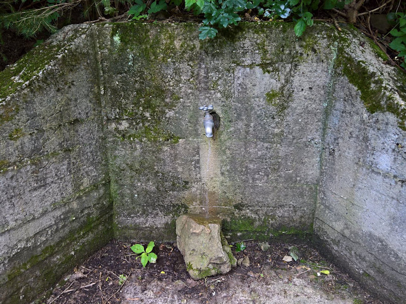 studánka Za Díly (14091)