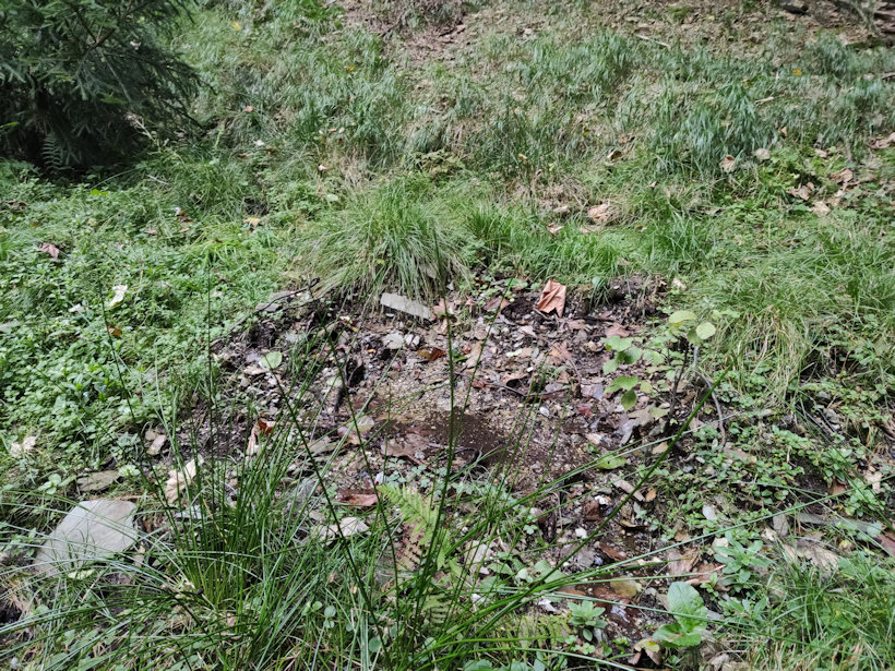 studánka bez jména (14101)