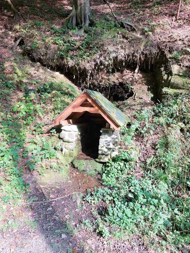 studánka Drahomíra (14107)