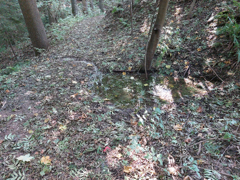 studánka Pod Crhovem (14109)