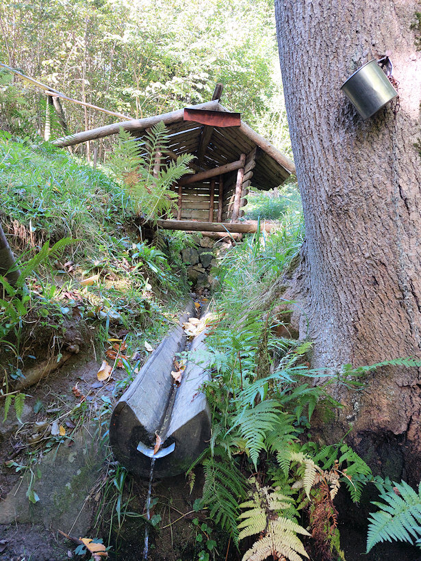 studánka U Tanku (14116)