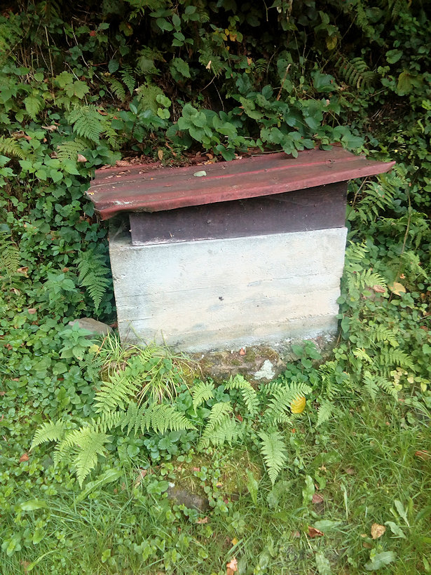 studánka U liščí stezky (14125)