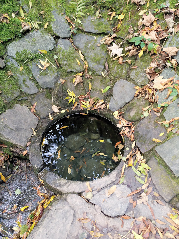 studánka Kouzelná Viktorka (14131)