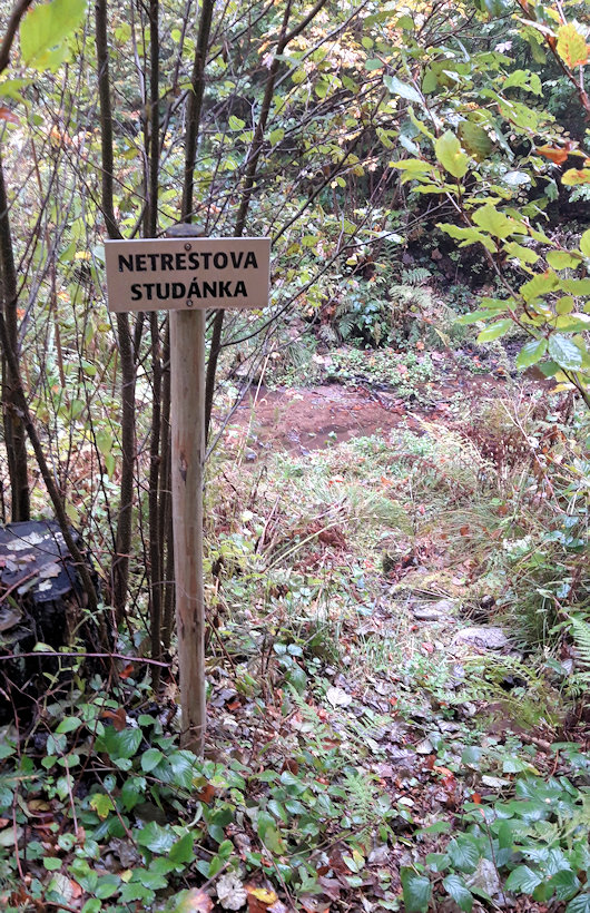 Netrestova studánka (14133)