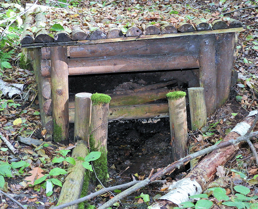 studánka Palisádová (14137)