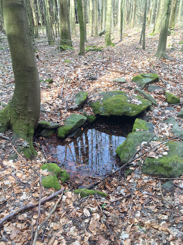 Javorová studánka (14144)