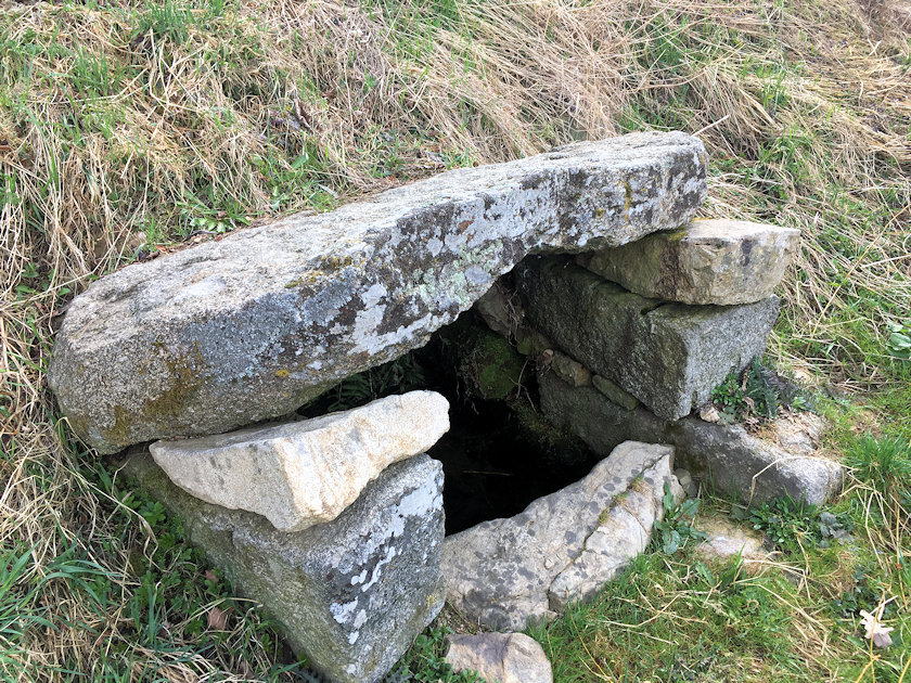 Hodkovská studánka (14145)