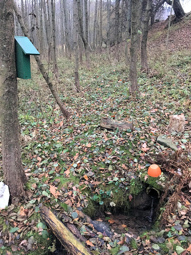 studánka V Číčovickém údolí (14163)