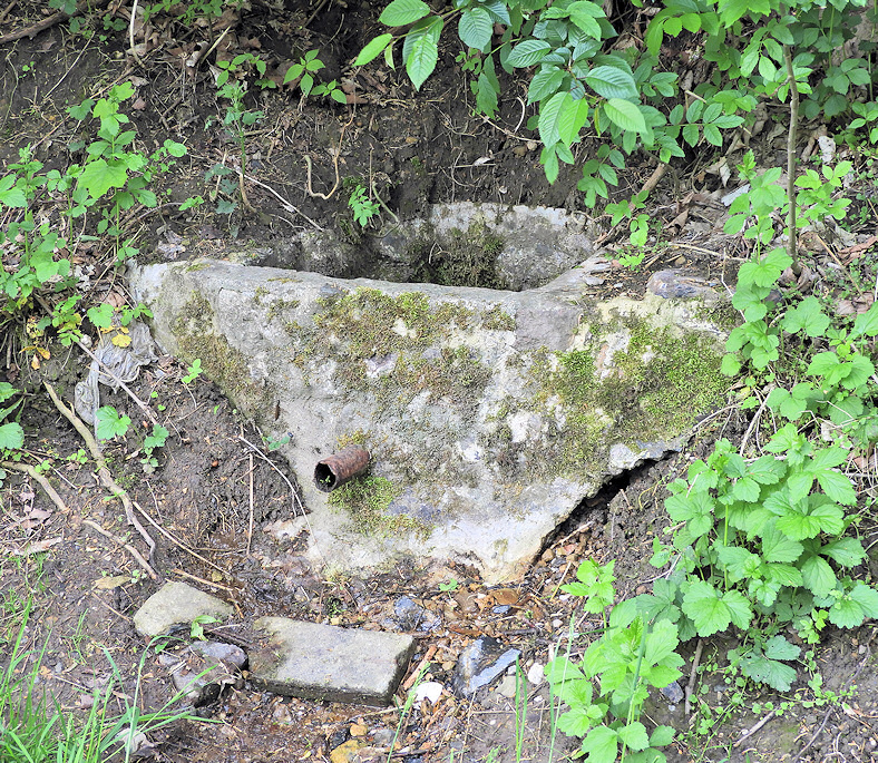 studánka Šestákova horní (14174)