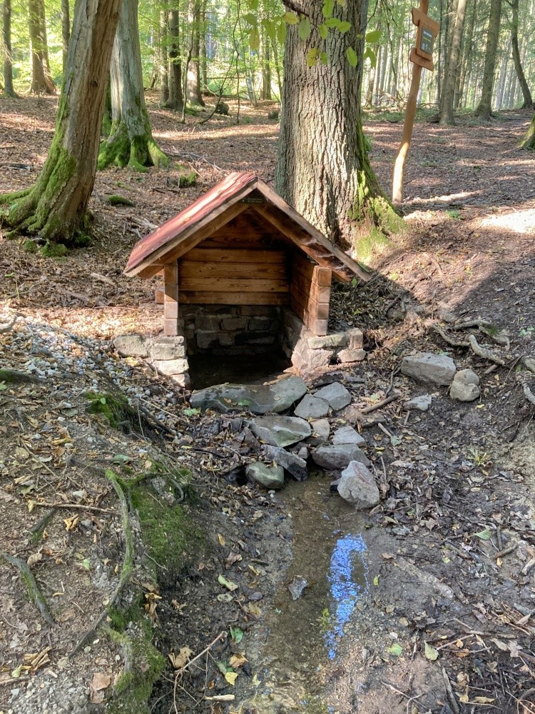 studánka U Cikánky (14178)