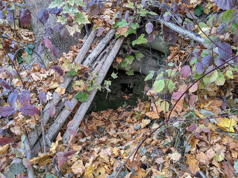 studánka Za koupalištěm (14180)