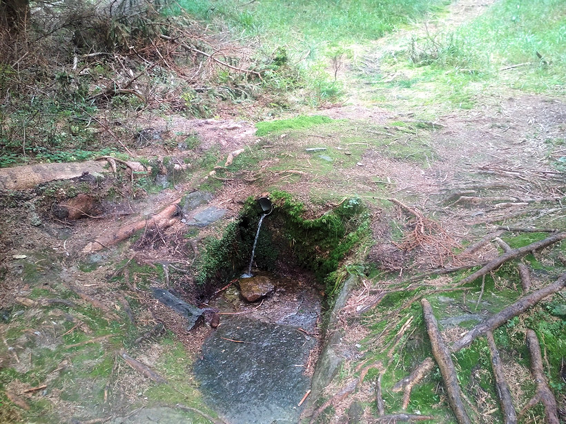 studánka Na Trojáku (14183)