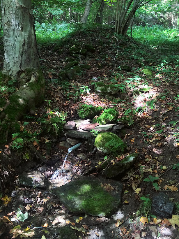 studánka V Nové Branné (14184)