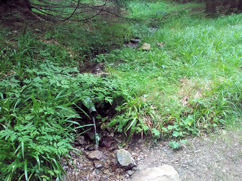 studánka U Sedlové boudy (14185)