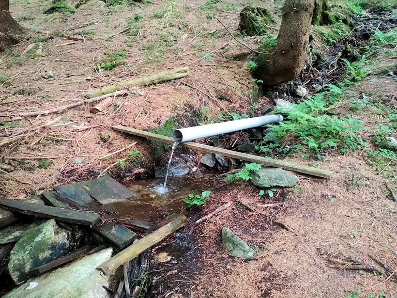 studánka U Sokolí chaty (14186)