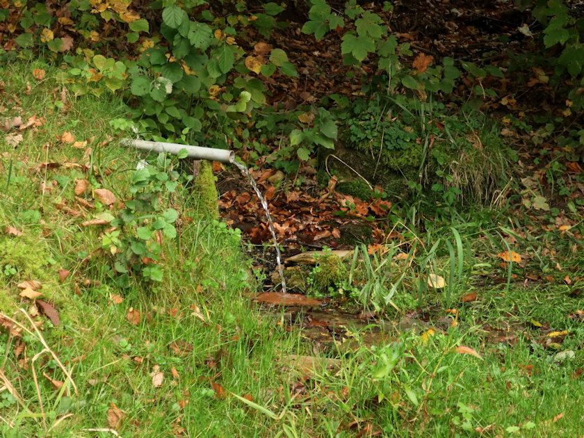 studánka bez jména (14201)