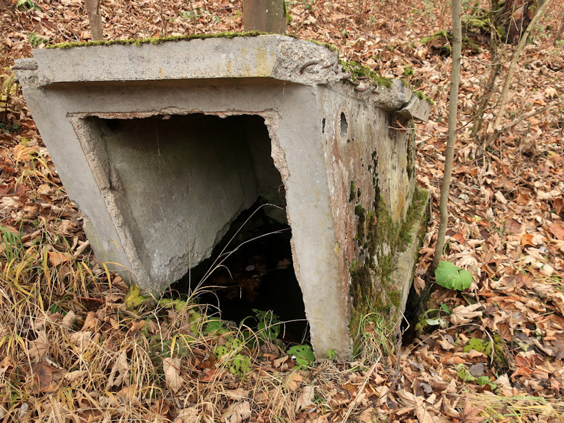 studánka bez jména (14206)