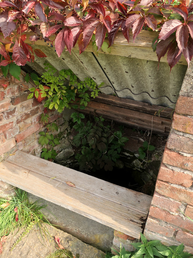 studánka bez jména (14207)