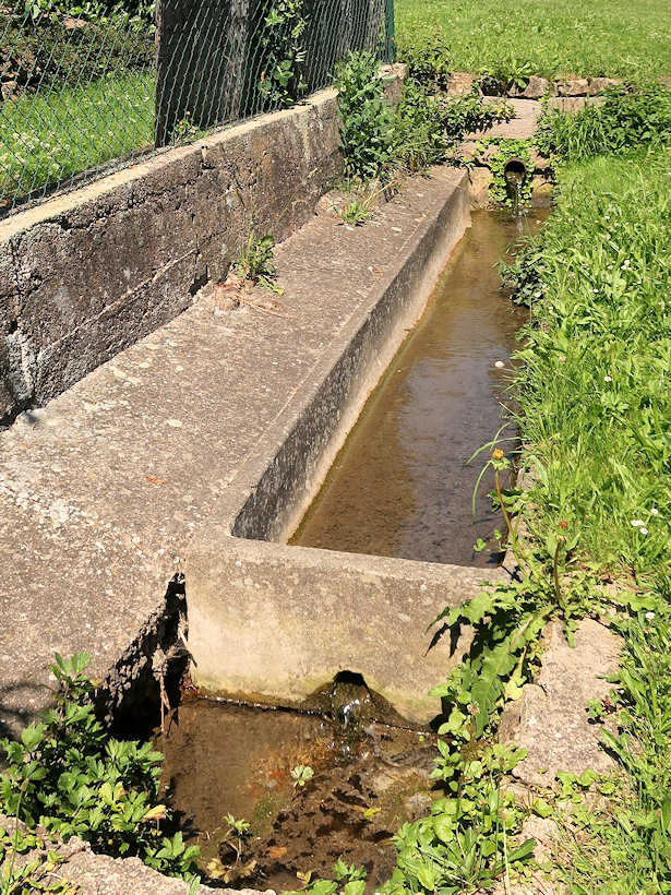 studánka bez jména (14209)
