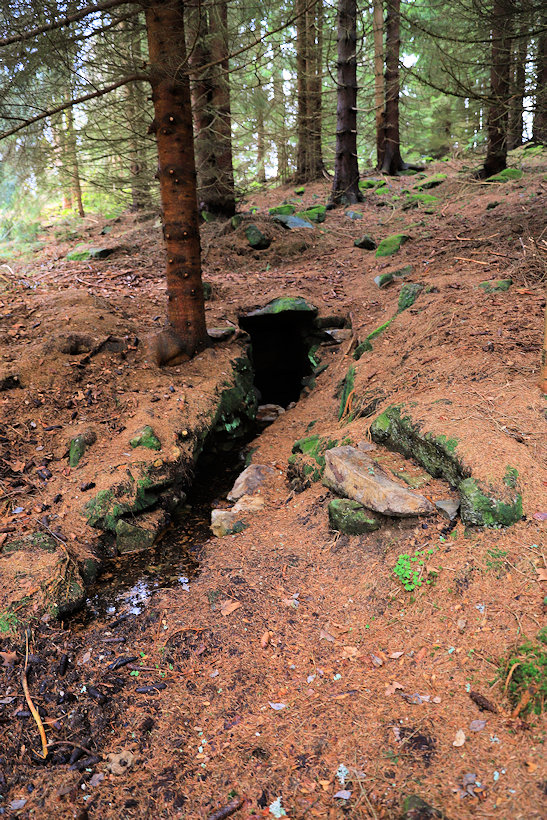 studánka Horní Popelná (14213)