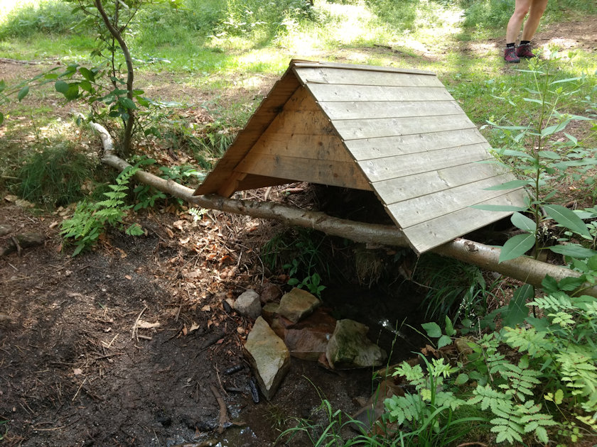 studánka U Smaragdového jezírka (14233)