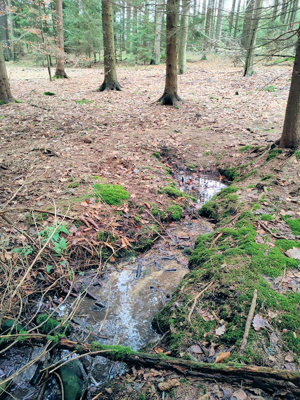 studánka bez jména (14238)