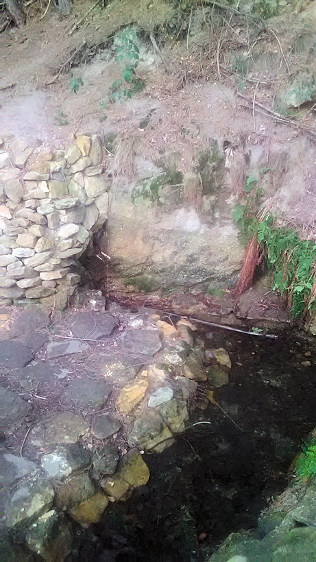 studánka Za Krupou (14241)