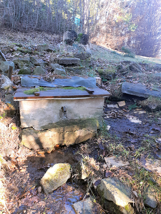 studánka Mlýnská (14243)