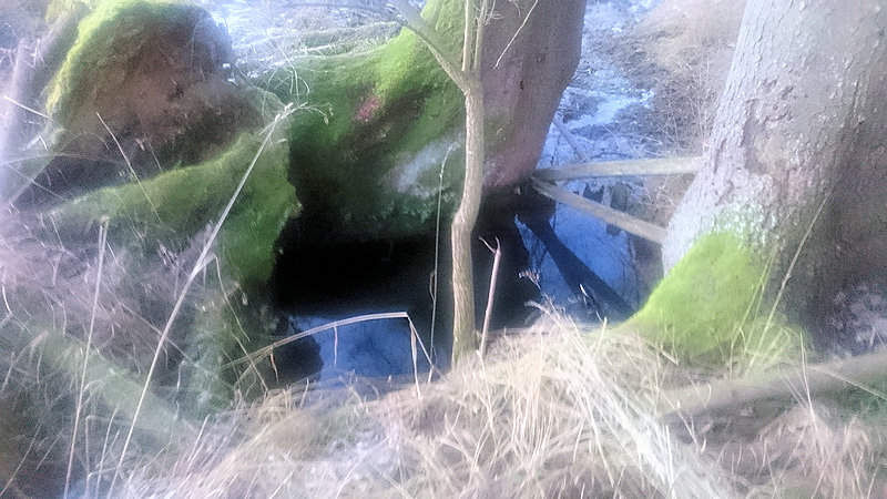 studánka Pod smrky (14256)