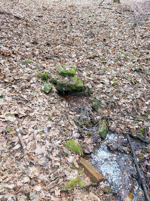 studánka Cihlová (14292)
