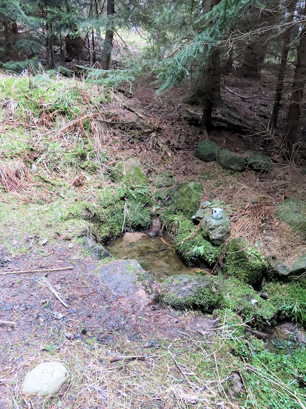 studánka U Taušlova mlýna (14295)