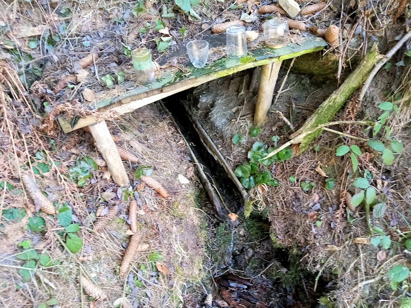 studánka Pod Stráněmi (14298)