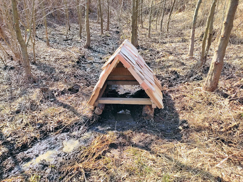 Bučkova studánka (14300)
