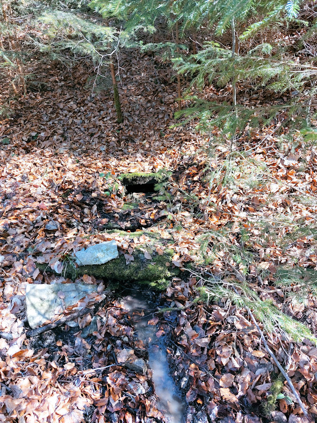 Štěpánkova studánka (14301)