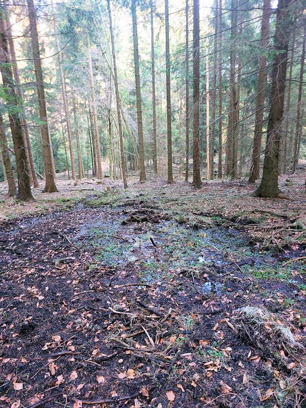 prameniště Nad hájenkou (14303)