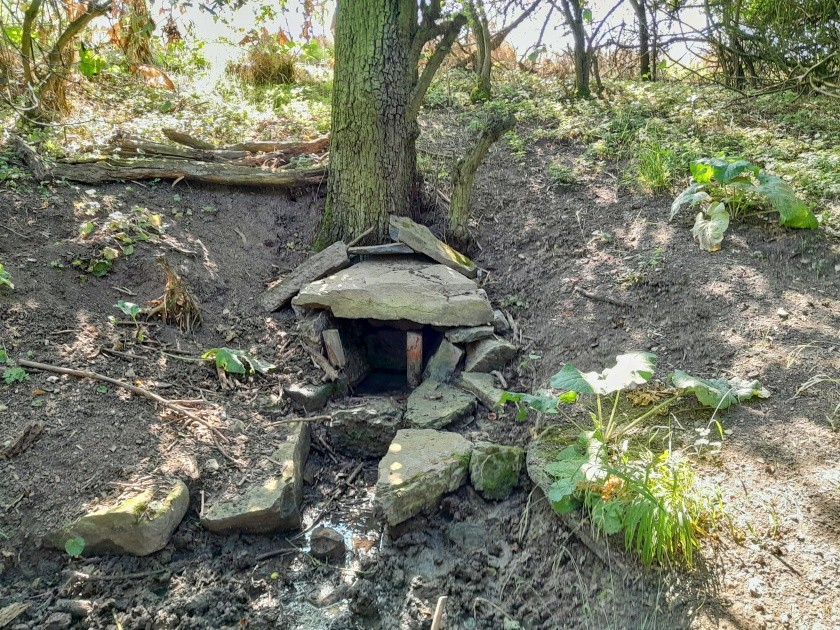 pramen Pod Holým vrchem (14308)
